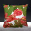 Housse et insert de coussin extérieur Clive-56188020-56188022