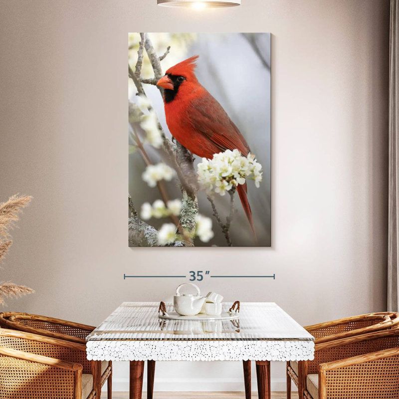 Brampt Northern Cardinal On Flowery Branch, 51" H x 34" W
