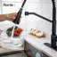 Rainlex Pull Down Kitchen Faucet
