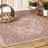 Nate Boho Medallion Textured Weave Red/Taupe Indoor/Outdoor Rug-5350419