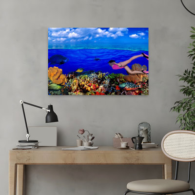 Diver Along Reef With Parrotfish Green Moray Eel Gymnothorax Funebris And White Spotted Filefish Cantherhines Macrocerus Underwater Abstract Contem...