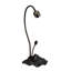 Allengrove Arched Table Lamp