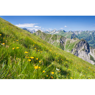 Blooming Alpine Summer Meadows 1 Piece Wrapped Canvas Wall Art