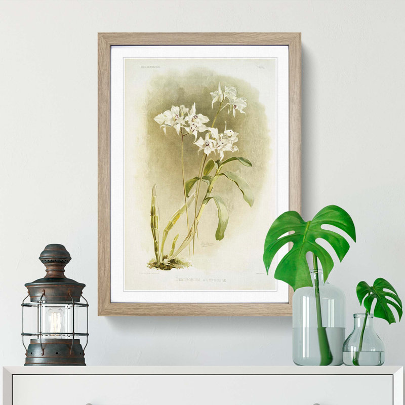 Magnolia Flowers Illustration Tab. 61 by Frederick Sander - Picture Frame Painting Print, 91cm H x 60cm W x 2cm D, Oak