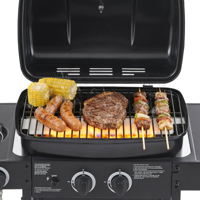 Barbecue au propane à 2 brûleurs avec brûleur latéral, 24 000 BTU, acier inoxydable
