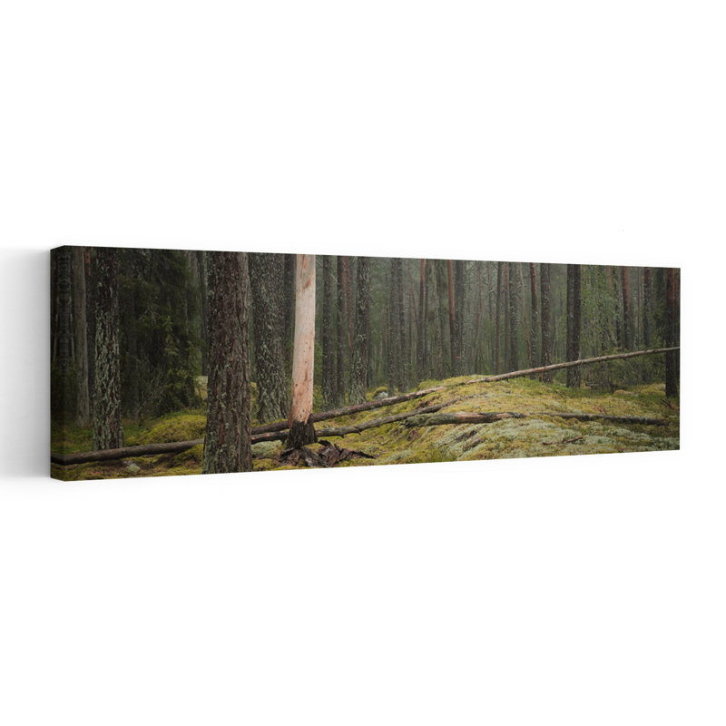 Serene Forest Landscape by Hamed Bank - Wrapped Canvas Panoramic Print, 50.8 cm H x 152.4 cm W
