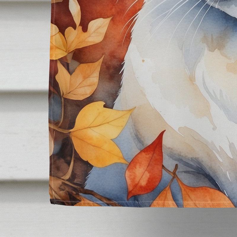Chat en feuilles d'automne, Khao Manee