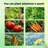 Large Greenhouse And Raised Flower Bed For Outdoors Plant Vegetable Box 68.7" X 45" X 51.5"