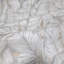 Papier peint texturé botanique tropical à feuilles de palmier tropical