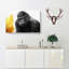 Silverback Gorilla With Golden Flash - Wrapped Canvas Painting-55318350