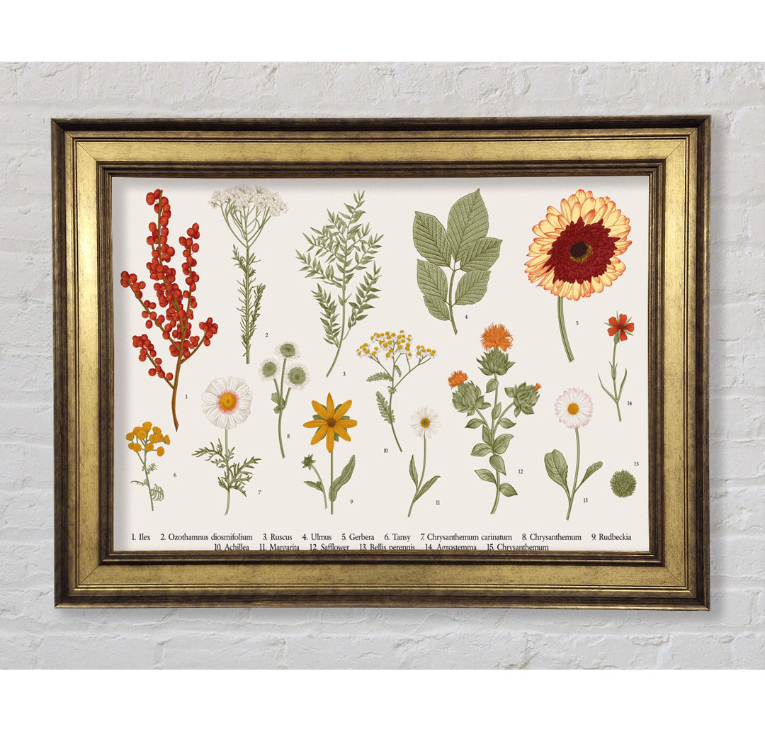 Blumen Illustration Handgezeichnet - Druck