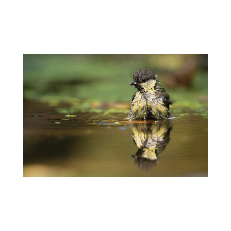 At The Mirror By Marco Pozzi - Wrapped Canvas Photograph by Marco Pozzi - Wrapped Canvas Print