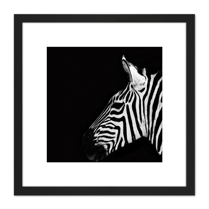 Zebra Head Animal Black White Photo - Single Picture Frame Print