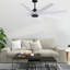 Ariella - Eight Blade Ceiling Fan - Brushed Brass Finish - Matte Black Blades-1855432163-1855432142