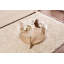 Tatjana Coffee Table-1274807914
