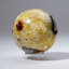 Polished Septarian Sphere from Madagascar (1.2 lbs)