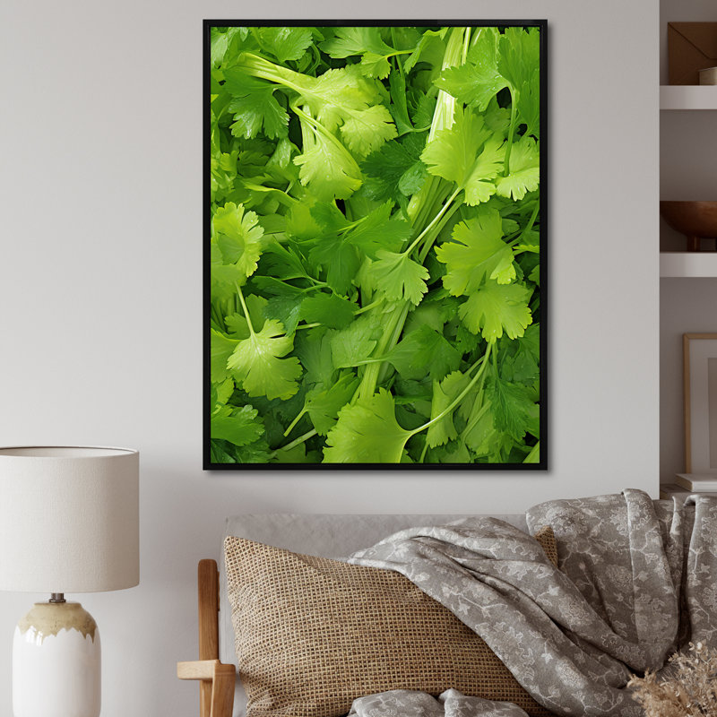 «Herbs Parsley Dance 2 - Floral Herbs», art mural, Cadre flottant noir, H 32 po x l 24 po