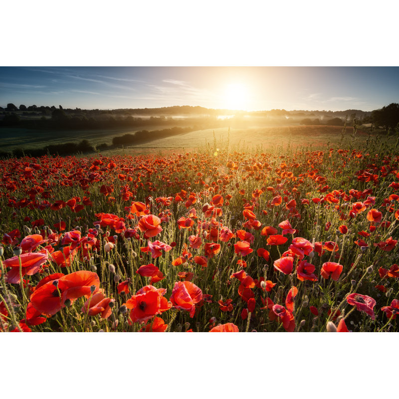 «At The Going Down of the Sun» sur toile par Lloyd-Horgan, photographie, H 8 po x l 12 po x P 1,25 po