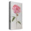 Pivoine I - impression sur toile tendue-1502834286