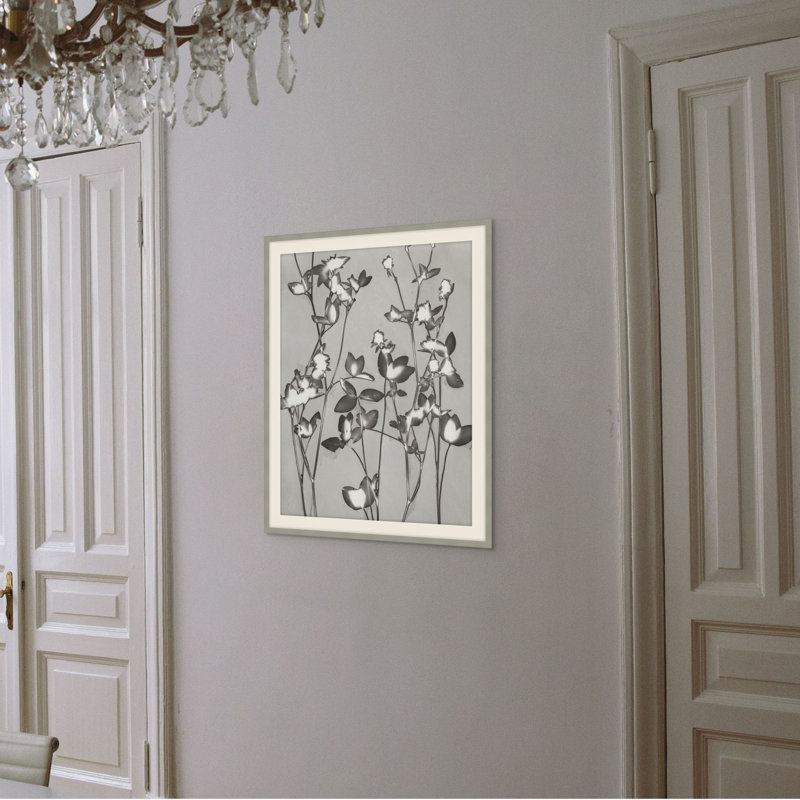 Plants & Flowers Print by Darrell Kincer, 38.75" H x 31.75" W
