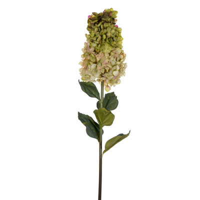 Hydrangea Floral Stems
