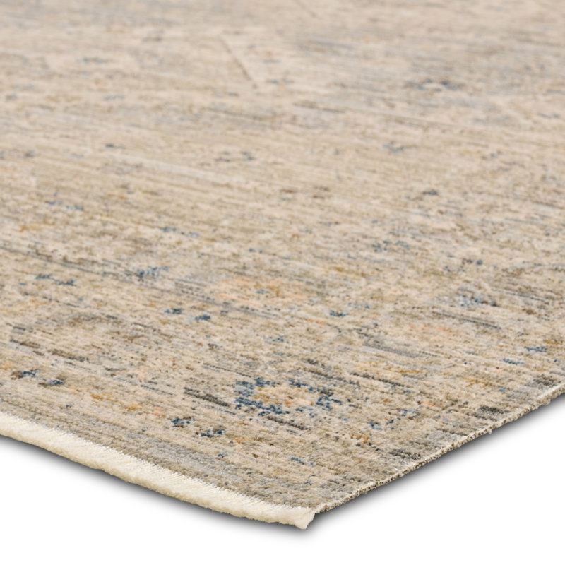 Tejal Lave TEJ02 Indoor/Outdoor Medallion Tan/Gray Area Rug (8'6"X11'6"), Rectangle 8'6" x 11'6"
