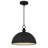 Braylon 1-Light Matte Black Pendant Light