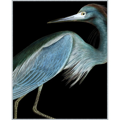 Stately Heron 1 Print by Thom Filicia