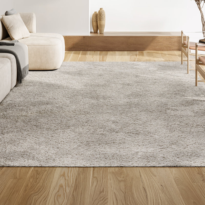 Felicdad Shag Plush Cream Rug, Rectangle 3'1" x 5'