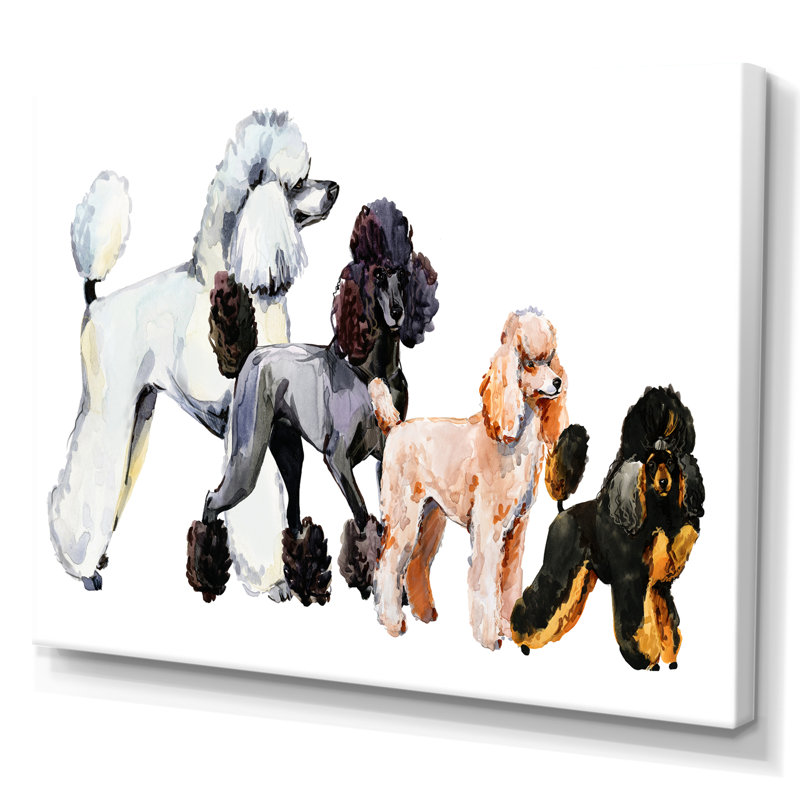 Art mural sur toile caniche, reproduction d'animaux de race de chien - Collection de chiens de race caniche, Toile tendue
