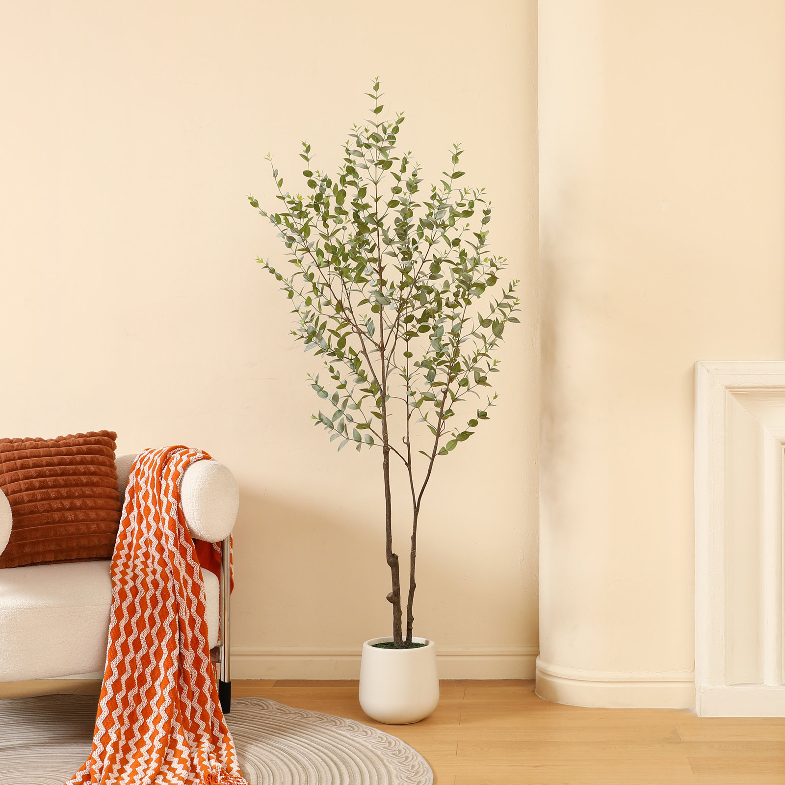 Aldina 72" Eucalyptus Tree in Pot