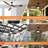 Ceiling Fan with LED Lights
