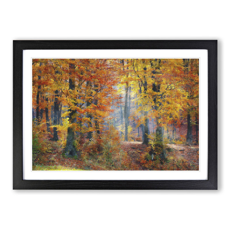 Autumn Forest Vol.3 - Framed Print, 27cm H x 36cm W x 2cm D, Black Framed