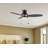 Ceiling Fan with LED Lights