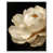 Cadre blanc