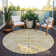 Chayden Area Rug