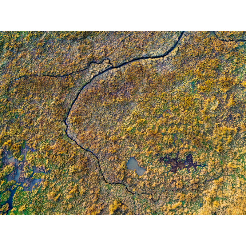 Abstract Aerial Landscape II Print by Frank Peters, 24" H x 32" W x 1.5" D, Wrapped Canvas, No Mat