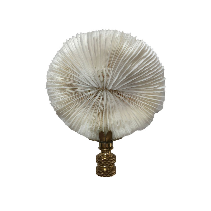 Faiteau de lampe corail champignon naturel, Laiton poli
