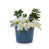 Antique Blue