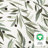Olive Branches Bassinet Sheet