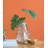 Philodendron Selloum Arrangement