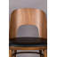 Talika Upholstered Dining Chair