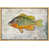 Natural Floater Frame selected