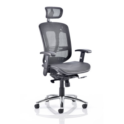 Symple Stuff Oasis Mesh with Headrest