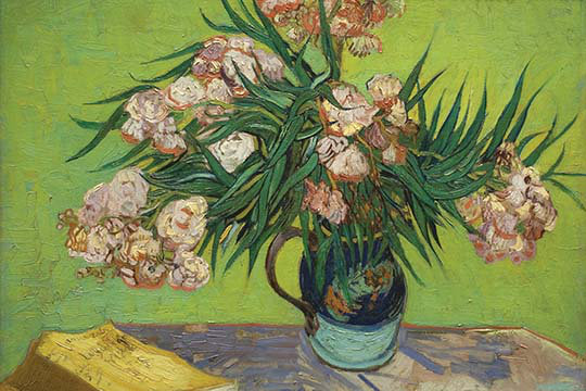 Imprimé laurier par vincent van gogh, H 24 po x l 36 po x P 1,5 po