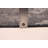 Elysian  Grey Rug 6'7" x 10'0"