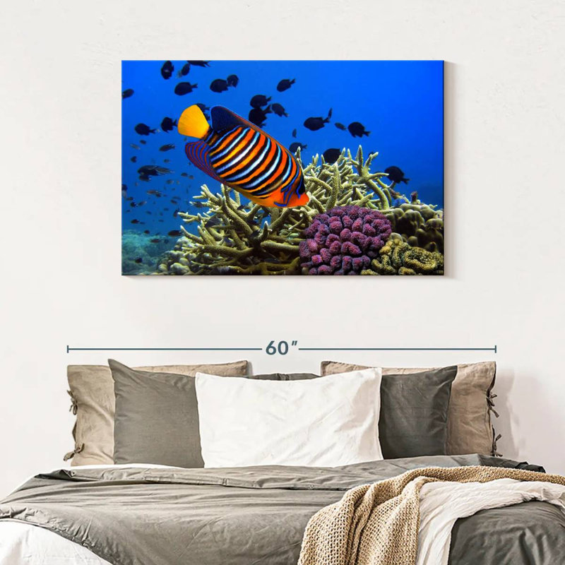 Brampt Royal Angelfish, 30" H x 45" W