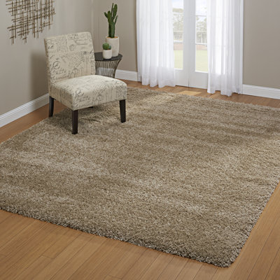 Tan Area Rug