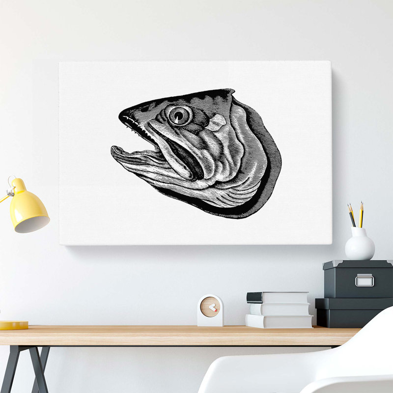 Fish Head Illustration in Black & White - Wrapped Canvas, 35cm H x 50cm W x 3cm D
