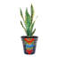 Talavera Vase bleu